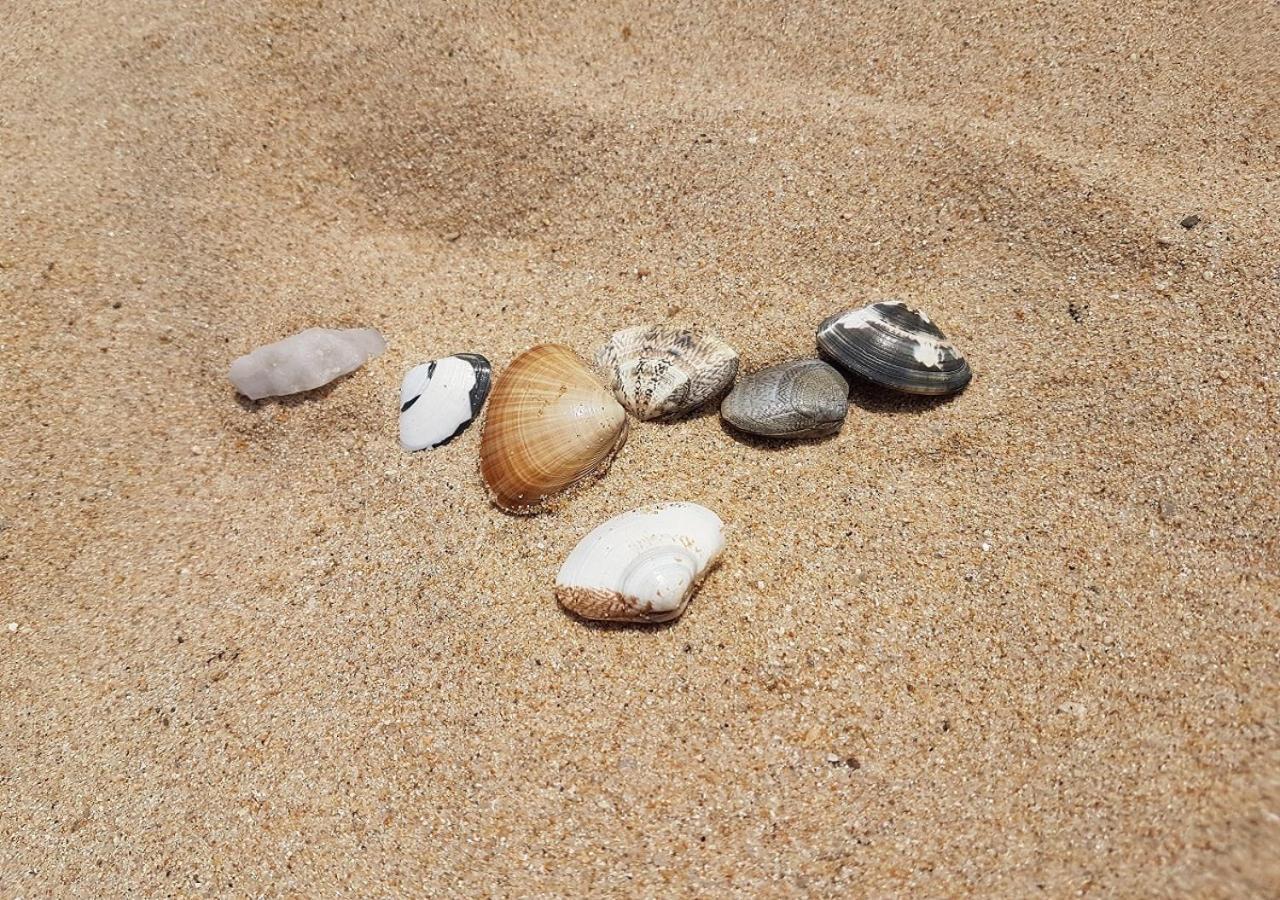 Seaside Pension محافظة غوسونغ المظهر الخارجي الصورة